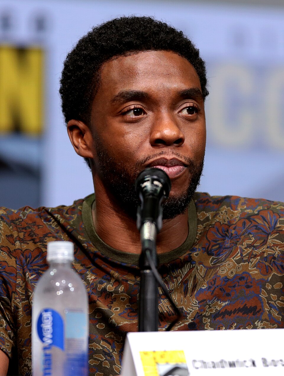 Portrait of Chadwick Boseman